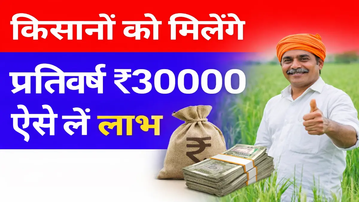 Agriculture Ox Farming Scheme